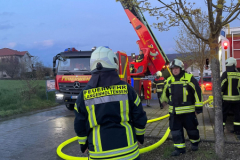 DLK Dienst